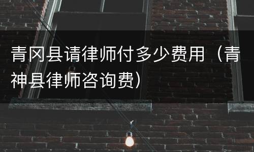 青冈县请律师付多少费用（青神县律师咨询费）