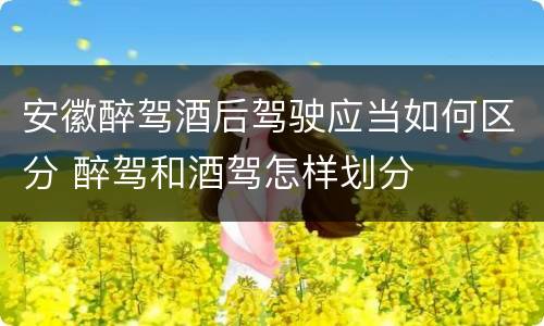 安徽醉驾酒后驾驶应当如何区分 醉驾和酒驾怎样划分