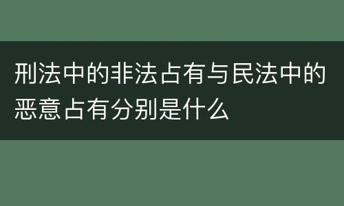 刑法中的非法占有与民法中的恶意占有分别是什么