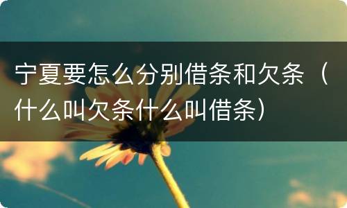 宁夏要怎么分别借条和欠条（什么叫欠条什么叫借条）
