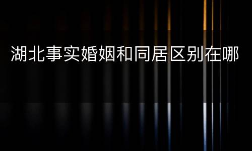 湖北事实婚姻和同居区别在哪