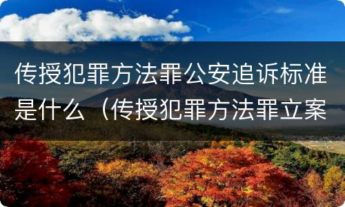 传授犯罪方法罪公安追诉标准是什么（传授犯罪方法罪立案标准）