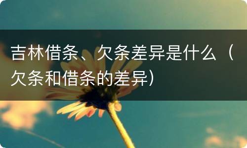 吉林借条、欠条差异是什么（欠条和借条的差异）