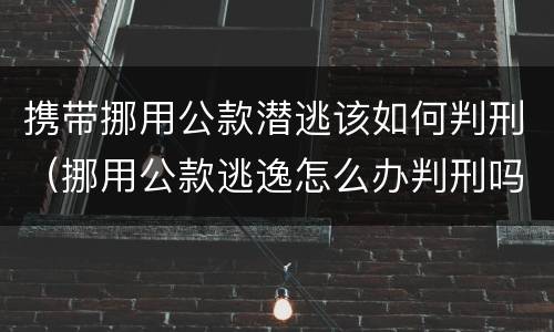 携带挪用公款潜逃该如何判刑（挪用公款逃逸怎么办判刑吗）