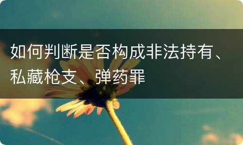 如何判断是否构成非法持有、私藏枪支、弹药罪