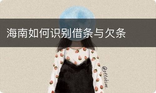 海南如何识别借条与欠条
