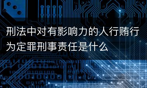 刑法中对有影响力的人行贿行为定罪刑事责任是什么