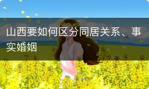 山西要如何区分同居关系、事实婚姻