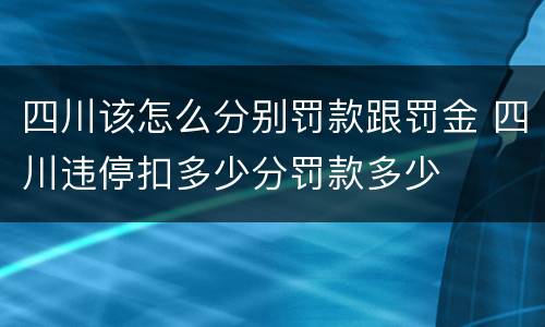 四川该怎么分别罚款跟罚金 四川违停扣多少分罚款多少