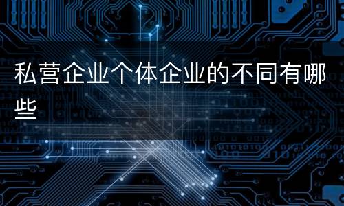 私营企业个体企业的不同有哪些