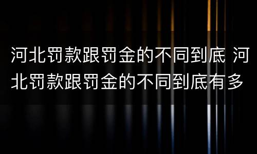 河北罚款跟罚金的不同到底 河北罚款跟罚金的不同到底有多少