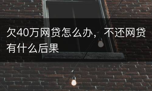 欠40万网贷怎么办，不还网贷有什么后果