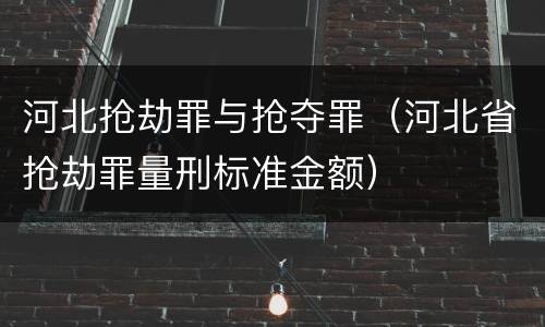 河北抢劫罪与抢夺罪（河北省抢劫罪量刑标准金额）