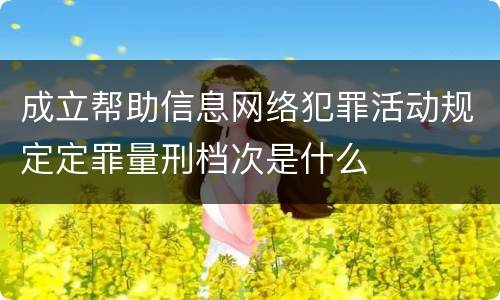 成立帮助信息网络犯罪活动规定定罪量刑档次是什么