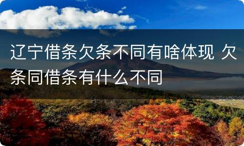 辽宁借条欠条不同有啥体现 欠条同借条有什么不同