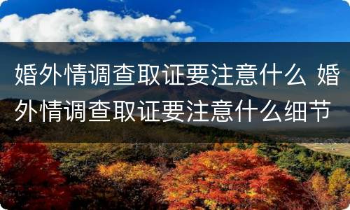 婚外情调查取证要注意什么 婚外情调查取证要注意什么细节