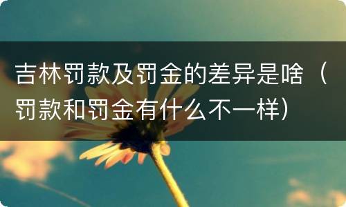 吉林罚款及罚金的差异是啥（罚款和罚金有什么不一样）