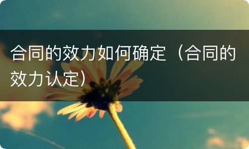 合同的效力如何确定（合同的效力认定）