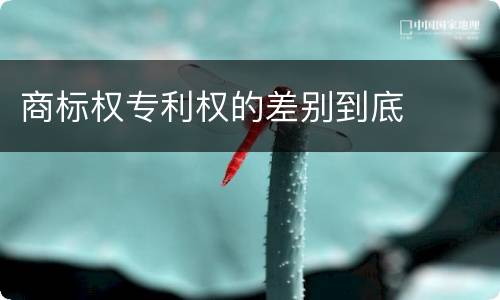 商标权专利权的差别到底