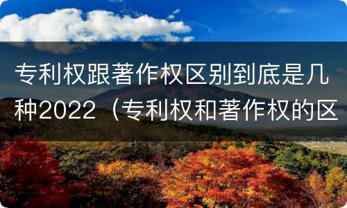 专利权跟著作权区别到底是几种2022（专利权和著作权的区别）