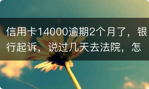 信用卡14000逾期2个月了，银行起诉，说过几天去法院，怎么办