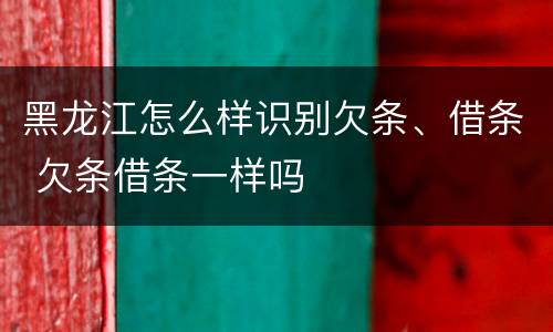 黑龙江怎么样识别欠条、借条 欠条借条一样吗