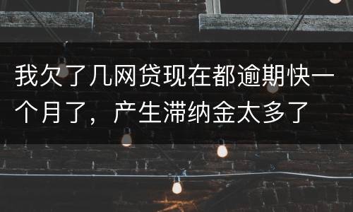 我欠了几网贷现在都逾期快一个月了，产生滞纳金太多了