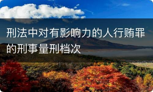 刑法中对有影响力的人行贿罪的刑事量刑档次
