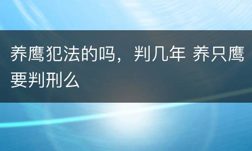 养鹰犯法的吗，判几年 养只鹰要判刑么