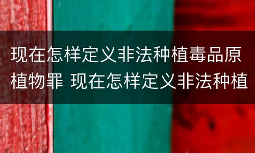 现在怎样定义非法种植毒品原植物罪 现在怎样定义非法种植毒品原植物罪名
