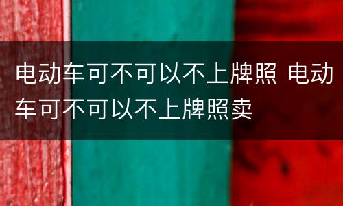 电动车可不可以不上牌照 电动车可不可以不上牌照卖