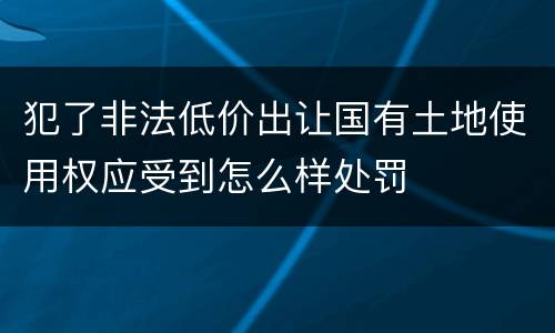 犯了非法低价出让国有土地使用权应受到怎么样处罚