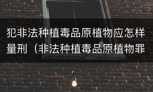 犯非法种植毒品原植物应怎样量刑（非法种植毒品原植物罪是什么犯罪类型）