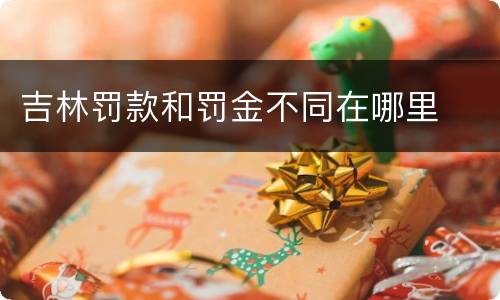 吉林罚款和罚金不同在哪里