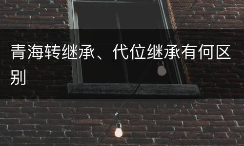 青海转继承、代位继承有何区别