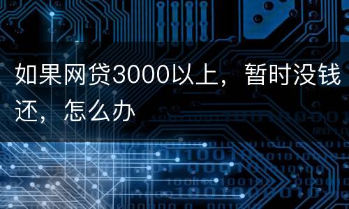 如果网贷3000以上，暂时没钱还，怎么办