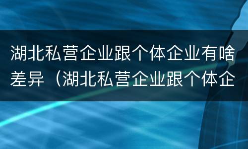 湖北私营企业跟个体企业有啥差异（湖北私营企业跟个体企业有啥差异吗）