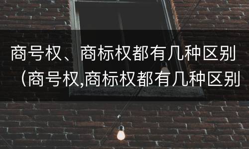 商号权、商标权都有几种区别（商号权,商标权都有几种区别）