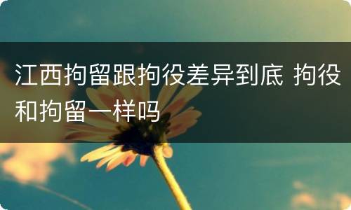 江西拘留跟拘役差异到底 拘役和拘留一样吗