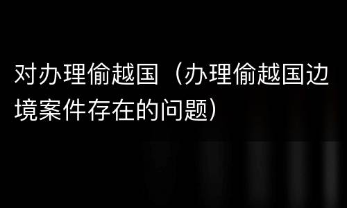 对办理偷越国（办理偷越国边境案件存在的问题）