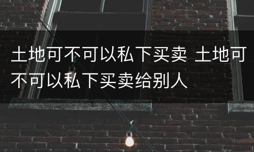 土地可不可以私下买卖 土地可不可以私下买卖给别人