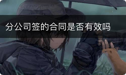 分公司签的合同是否有效吗