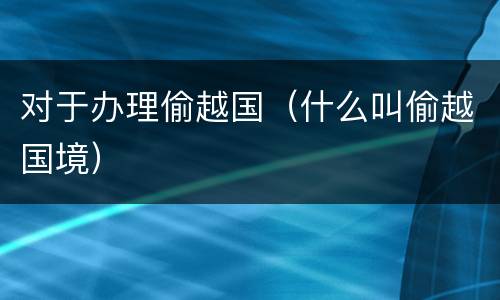对于办理偷越国（什么叫偷越国境）