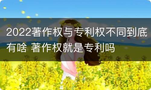 2022著作权与专利权不同到底有啥 著作权就是专利吗