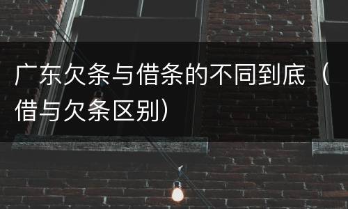 广东欠条与借条的不同到底（借与欠条区别）