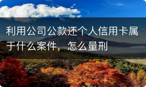 利用公司公款还个人信用卡属于什么案件，怎么量刑