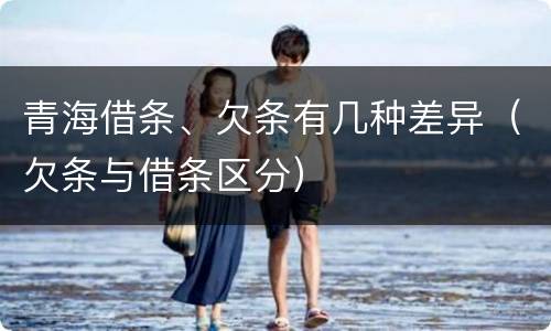 青海借条、欠条有几种差异（欠条与借条区分）