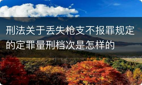 刑法关于丢失枪支不报罪规定的定罪量刑档次是怎样的