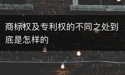 商标权及专利权的不同之处到底是怎样的