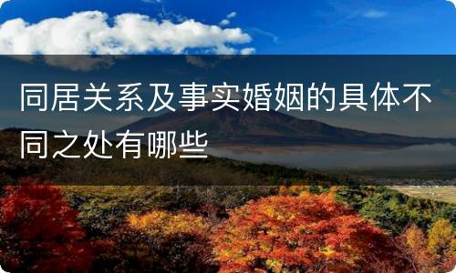 同居关系及事实婚姻的具体不同之处有哪些